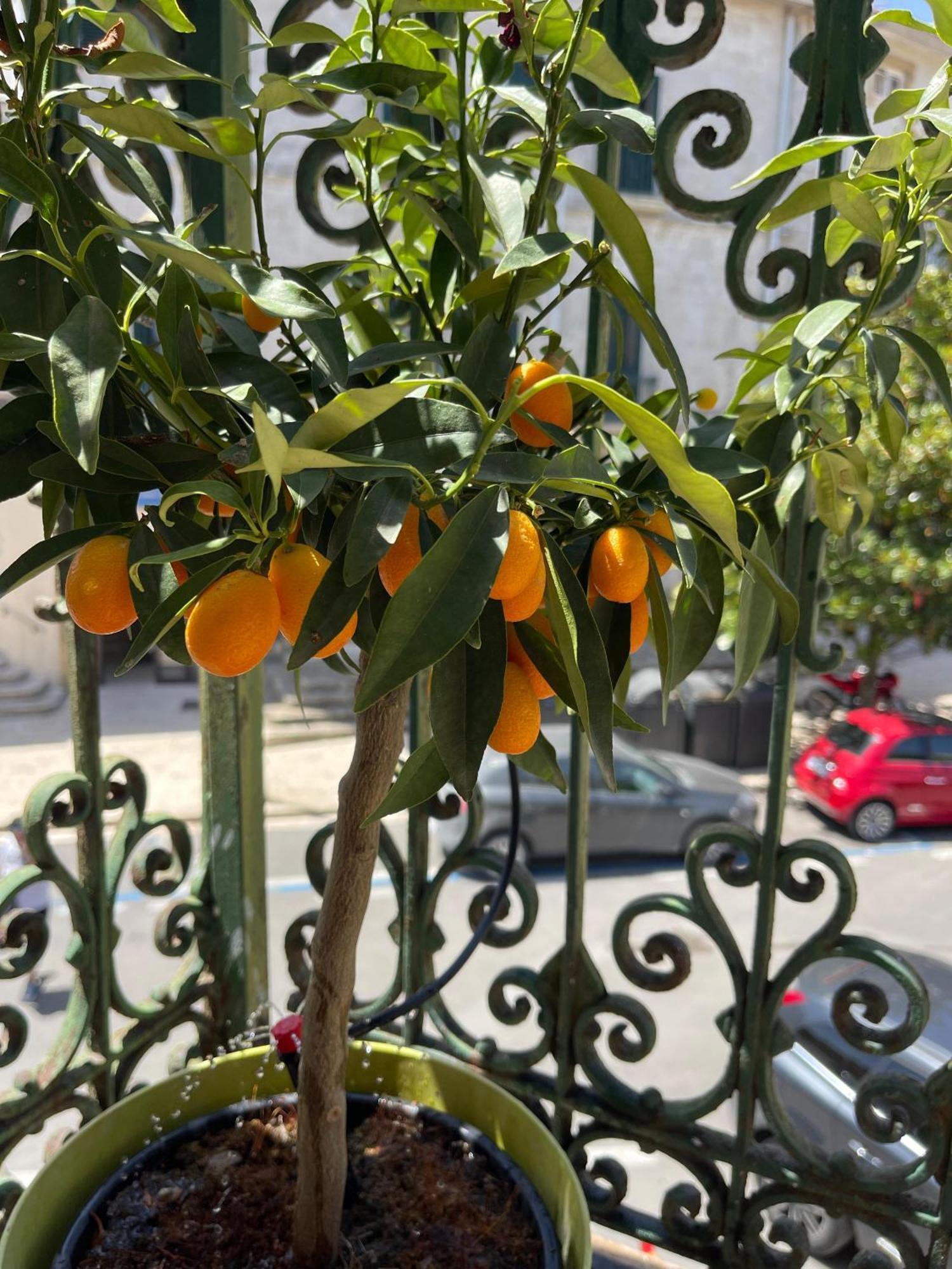 La Dimora Di Annika Apartment Oria  Bagian luar foto
